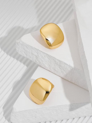 Chunky Rock Earrings